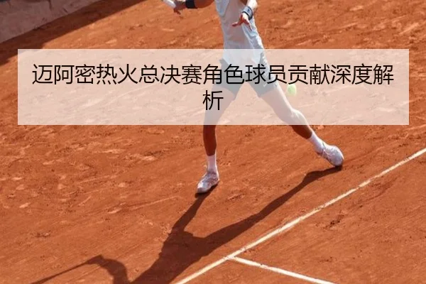 迈阿密热火总决赛角色球员贡献深度解析